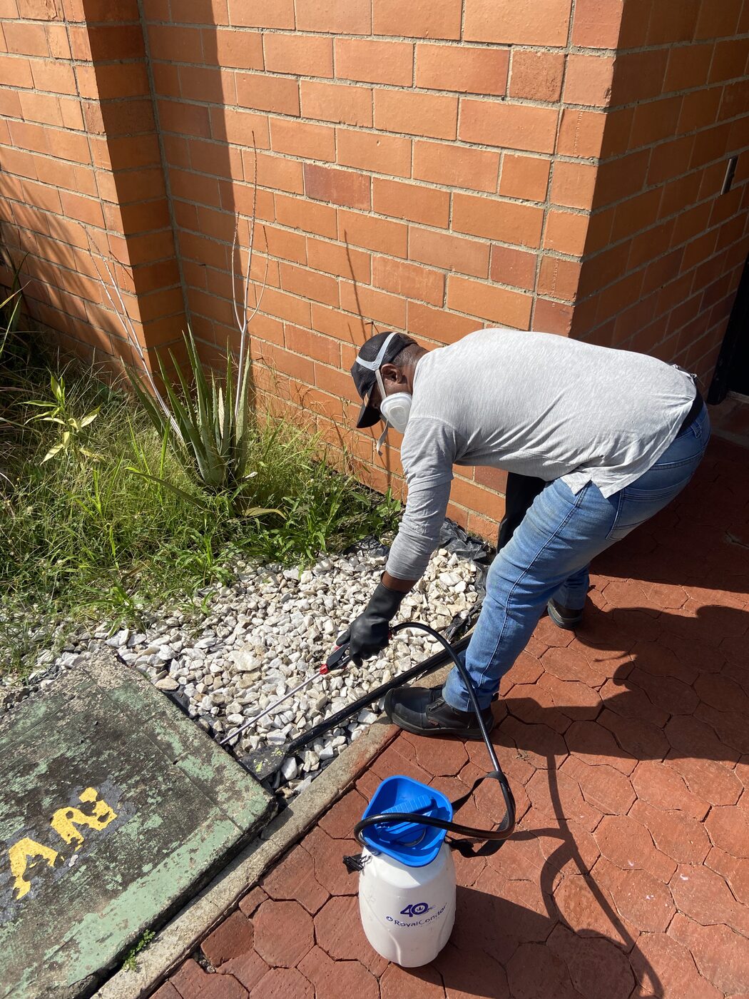 Tratamiento preventivo perimetral en zonas verdes de un conjunto en Cali
