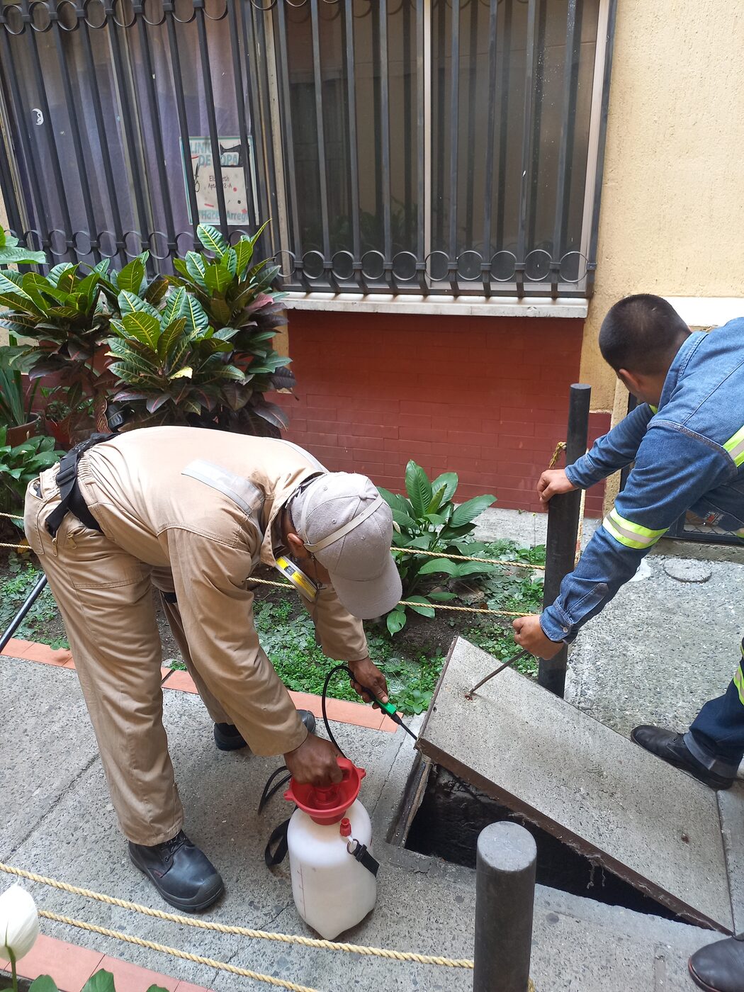 Equipo de Fumigaciones Magistrales Del Valle aplicando control de roedores en una caja de registro en Cali