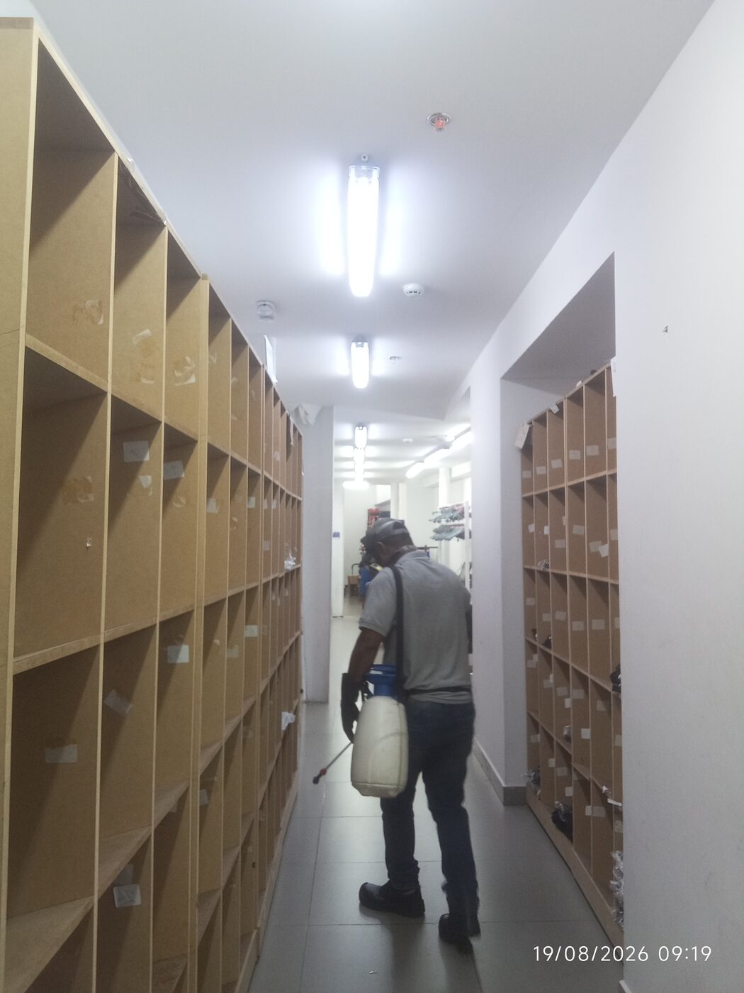 Fumigación de área de archivo y casilleros en un establecimiento en Cali