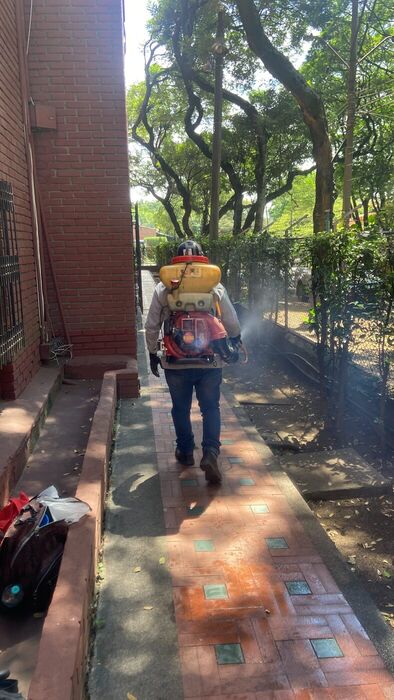 Fumigación de zonas verdes y jardines de un conjunto en Cali