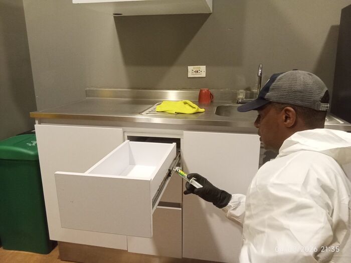 Aplicación de gel para cucarachas en el mobiliario de una cocina en Cali